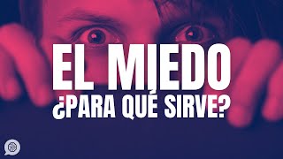 Para Qué Sirve El Miedo Éste Es El Papel De Esa Emoción