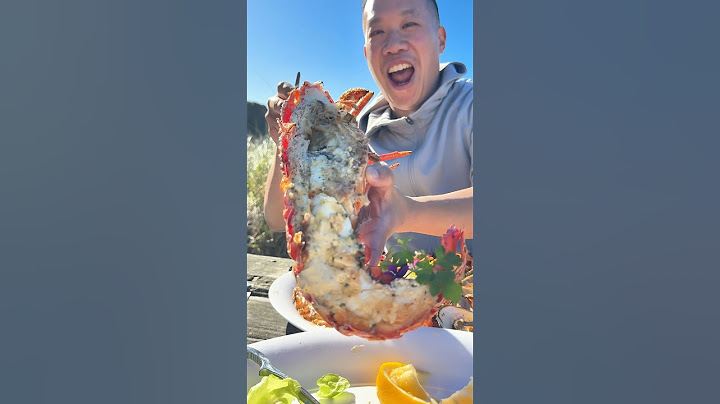 Everything We Ate In Kaikoura New Zealand 🇳🇿 (Freshest Seafood We’ve Ever Had)