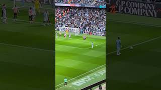 Thumbnail for He's in your head | Enzo Fernandez free kick goal v Sunderland