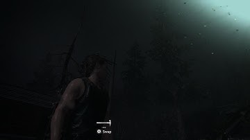 The Last of Us Part II Butterfly Glitch