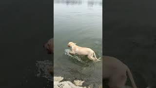 IMG 3591