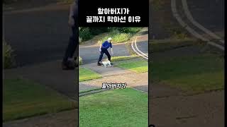 할아버지가 끝까지 막아선 이유 #고양이 #강아지