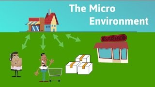 The Micro Environment