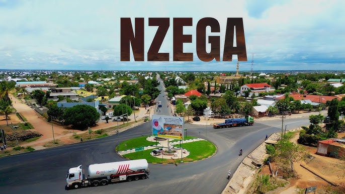 NZEGA | Drone