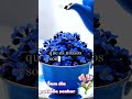 #reflexãododia #viral #viralvideo #viralshorts #viralreelsシ #bomdiaabençoado #gratidão #senhor