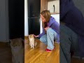 MY CAT JUST "READ" MY TEXTS AND DIDN'T REPLY! 💀🤣 #Shorts #Cats #Funny #Meme