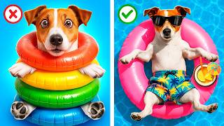 We Build a Tiny Water Park for Pets at Home!