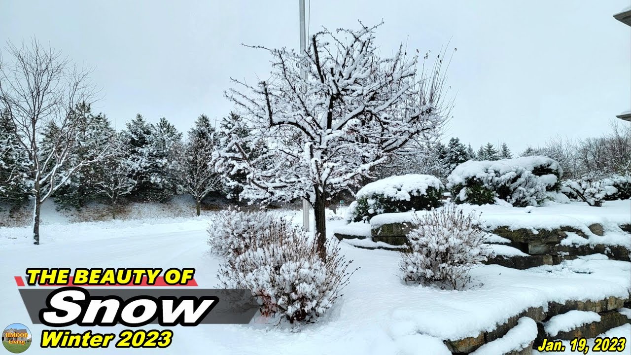 The BEAUTY of SNOW 2023