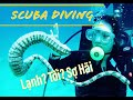 [TRAVEL] - Lần Đầu Lặn Bình Khí - Scuba Diving