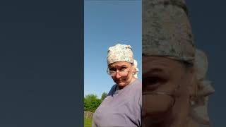 видео: Посадка огорода. Перец  🌶, помидоры 🍅,  капуста 🥬, огурцы 🥒. Мои ежедневные будни. картинка: Посадка огорода. Перец  🌶, помидоры 🍅,  капуста 🥬, огурцы 🥒. Мои ежедневные будни.