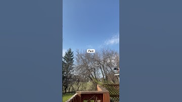 Talk about fast trigger finger. A friend of mine AR