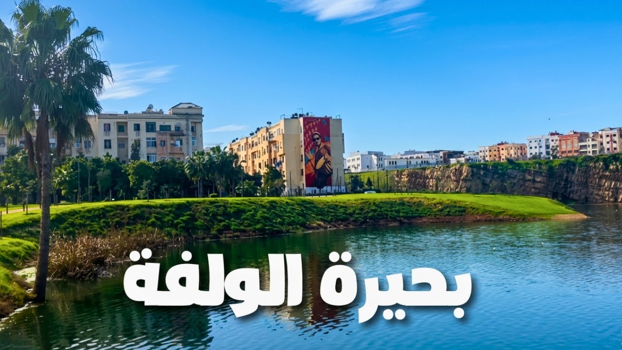 محمية طبيعية وسط كازا! 🦆 جولة في بحيرة الولفة