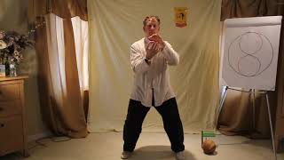 Tai Chi Ball Basics Vertical Rotation Yang