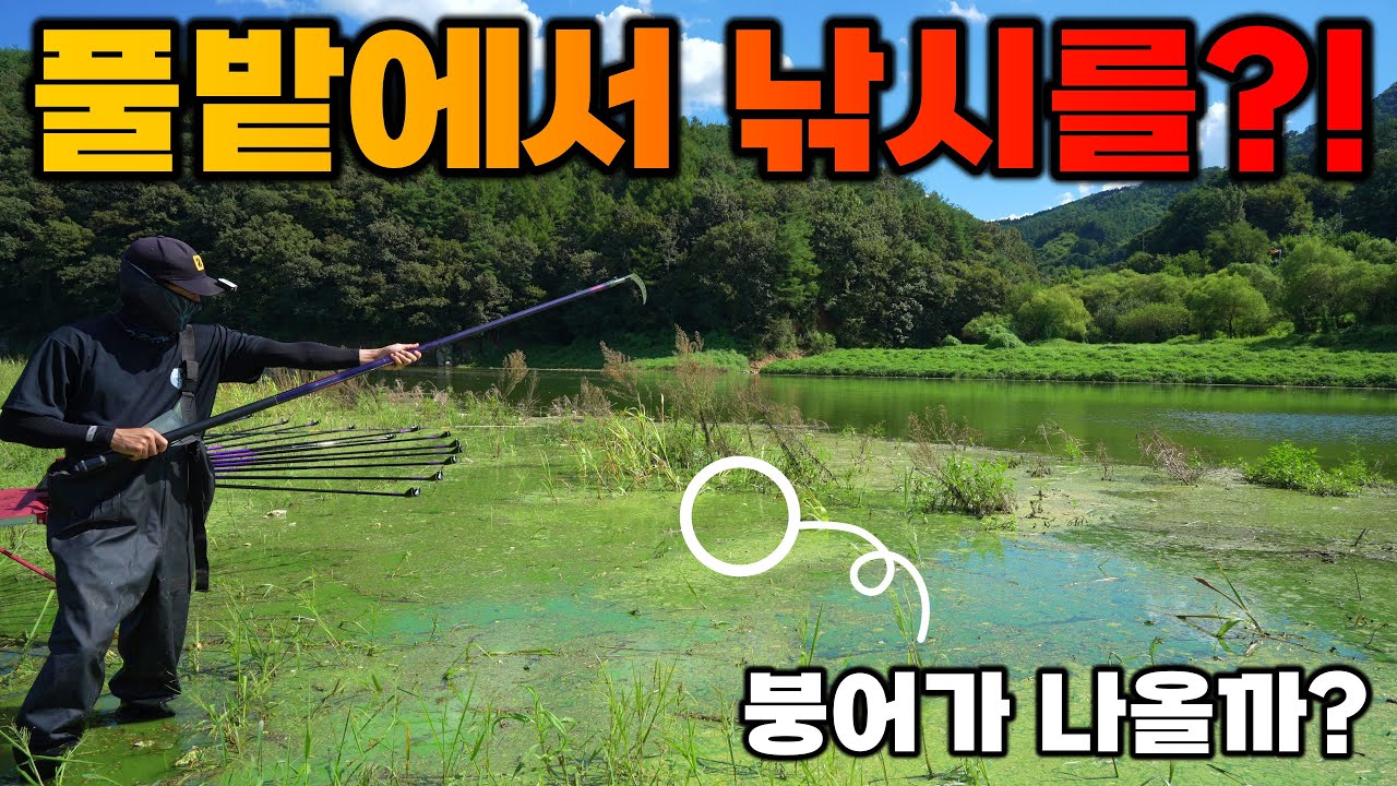 돌격 육초밭으로! 풀 뽑아 구멍내고 찌 세우니 / 합천댐 붕어낚시