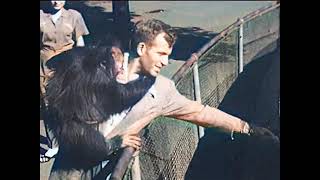 Andy's Animal Alphabet from The Bronx Zoo (McGraw Hill Education Colorized; 1950's)
