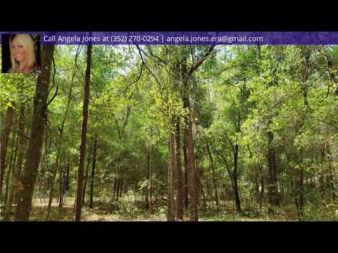 1320 W Emerson Place, Citrus Springs, FL home video tour