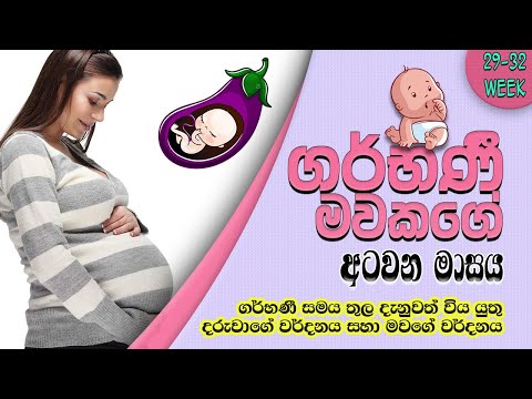 sri-lankan-moms-pregnancy-period-8-month-(29---32-week)-in-sinhala-|sri-lankan-moms-|sl-the-bro™🇱🇰