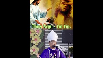 XIN CHO CON ĐƯỢC THẤY_Chúa nhật IV Mùa Chay năm A_Giảng lễ của Đức cha PHÊRÔ NGUYỄN VĂN KHẢM