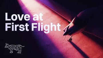 Introducing DA40-XLS for Microsoft Flight Simulator - Love at First Flight | COWS