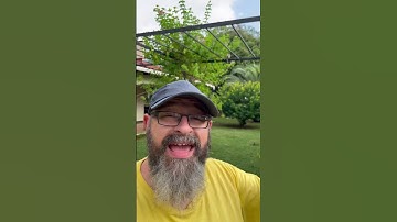 Crazy Client Web Site & Hosting Saga 2.5 Month Update