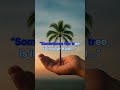 The Tree You Carry With You!#RiddleTime #BrainTeaser #WordPlay #palmtree#palm #challenge