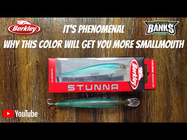 Berkley Stunna Jerkbait Review 