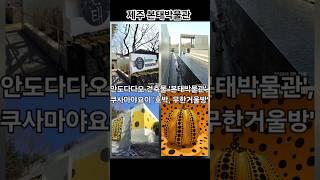 '본태박물관' 안다다다오, 쿠사마야요이작품 #본태박물관 #본태박물관쿠사마야요이  #안다다다오본태박물관