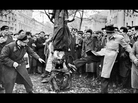 Восстание в Венгрии 1956 (hd) Секретные материалы