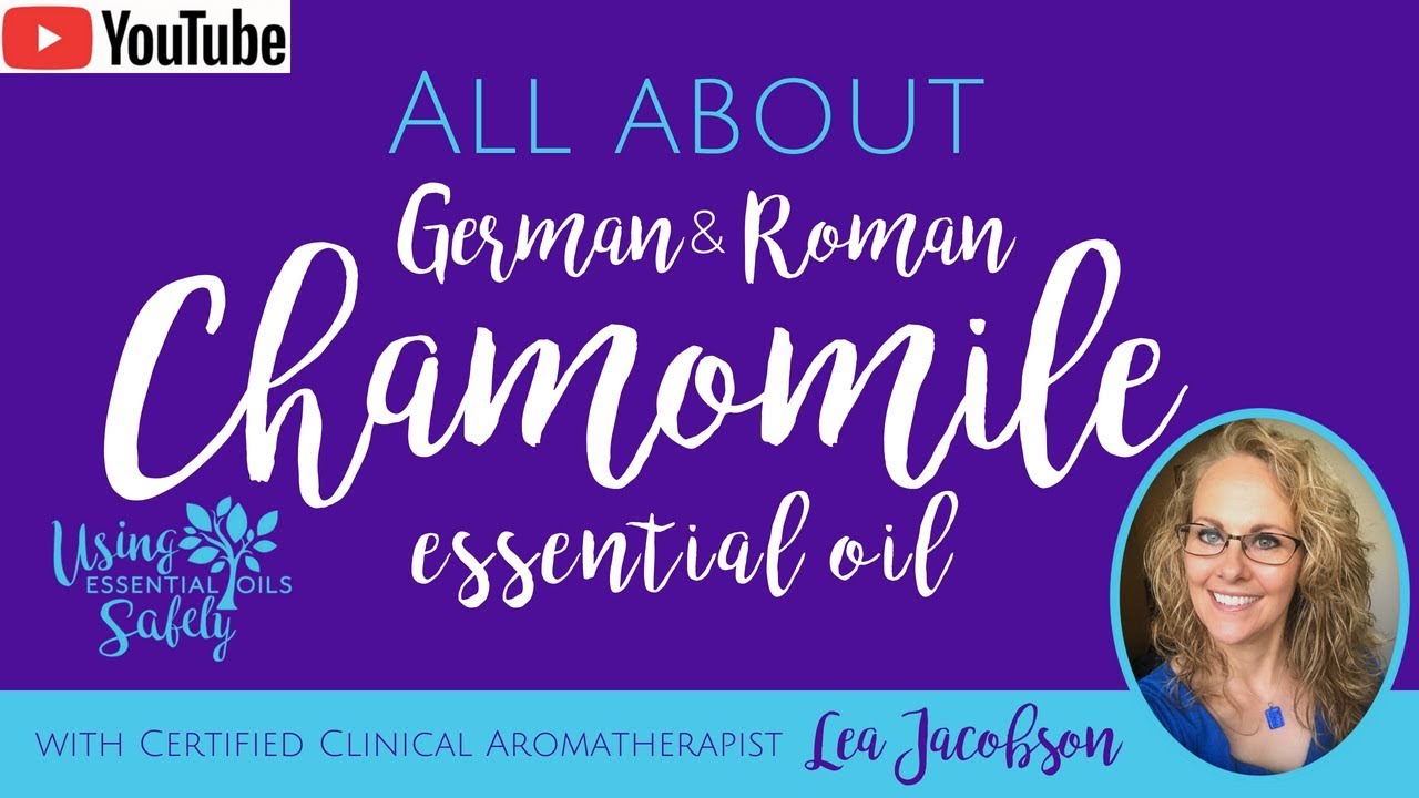 All About German & Roman Chamomile Essential Oils - YouTube