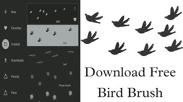 Download free Bird Brush | Brush tutorial using infinite painter