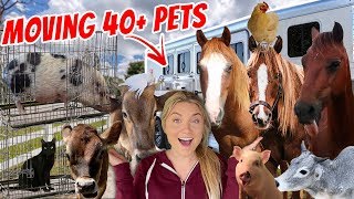 Moving ALL MY PETS to the new FARM | 40+ PETS!