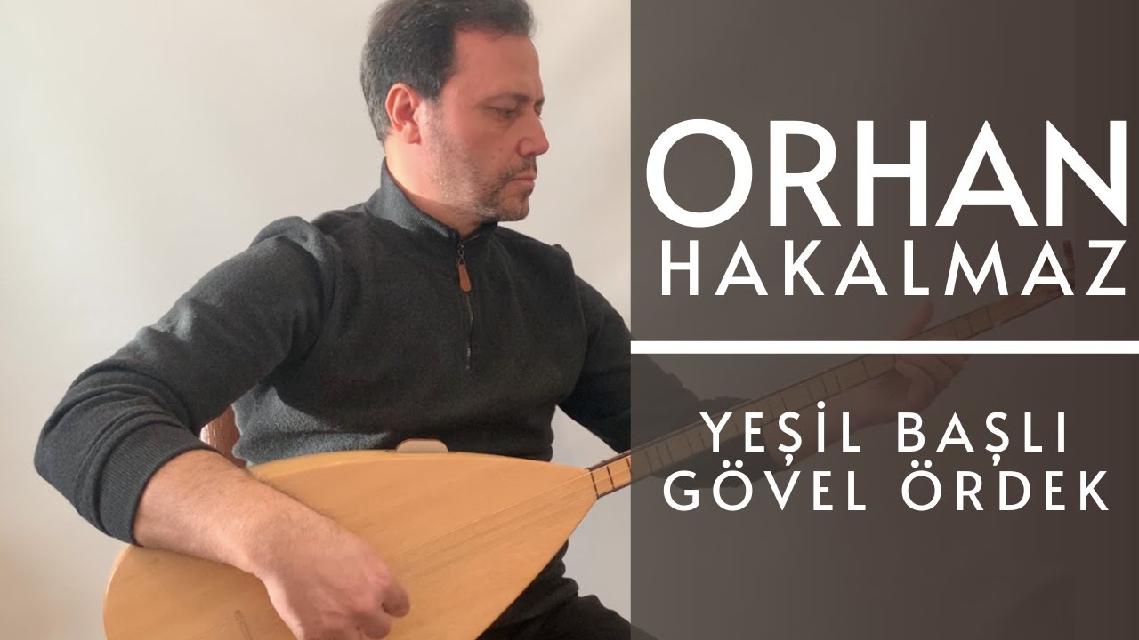Orhan Hakalmaz - Yeşil Başlı Gövel Ördek