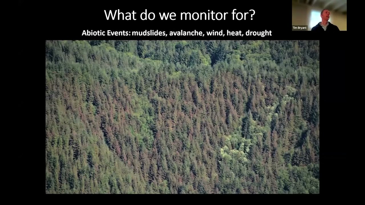 Forest Health in Oregon 2024: Statewide report