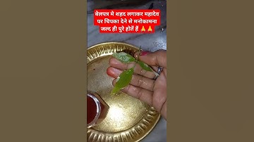 बेलपत्र मे शहद लगाकर शिवलिंग पर चिपका देने से #pradeepmishrajikeupay #shivpuran #viralvideo #mhakal