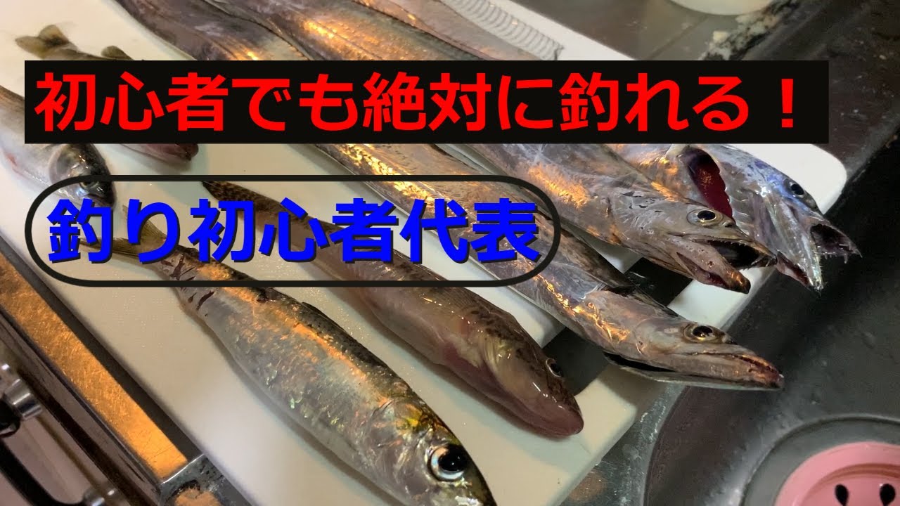 堤防でアナゴを釣ってきた ときどきイシモチ 宮城県 海釣り 釣りガール 堤防でアナゴを釣ってきた ときどきイシモチ 宮城県 海釣り 釣りガール
