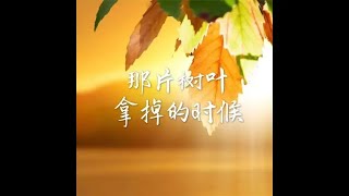 201410 那片树叶拿掉的时候32052