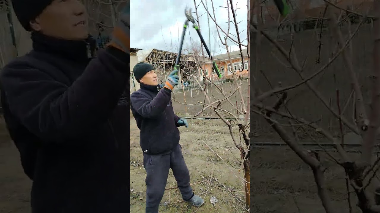 БЕШ ЙОШЛИ ОЛМАНИ БЕШ ЛИДР ШАКЛДА ТАРБИЯЛАШ. & #applehealth #