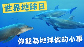 世界地球日 #如何選擇正確的海鮮 #永續海洋資源 ｜【超i潛水】邵廣昭博士帶你認識台灣魚類