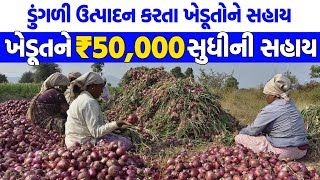 Dungli Ma Kheduto Ne Ketli Sahay Malse New Subsidy Scheme For Farmers Mis Onion 2025 - 26