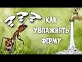 Как увлажнять муравьиную ферму?