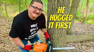 Mike fells oak stub & bucks it up