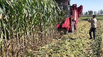 The Yongmeng 6-row header corn picker