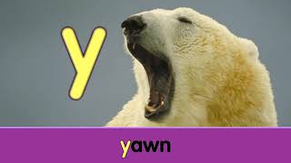 Starfall: Letter Y
