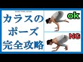 目から鱗！コレが分かれば即出来る！カラスのポーズ。バカーサナ。アームバランス。ヨガ。