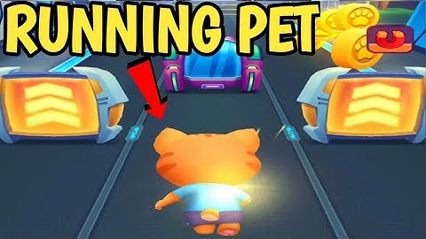 Running Pet: Dec Rooms - Gameplay Walkthrough
