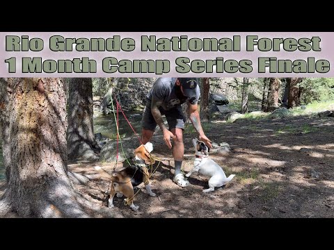 Camp: Rio Grande National Forest 1 Month Camp Series Finale