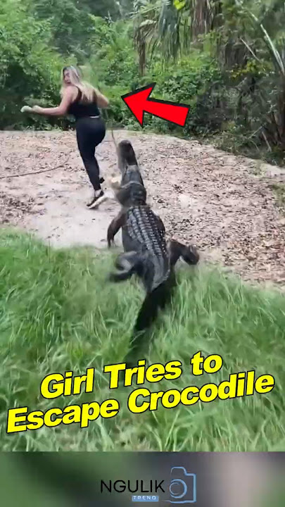 From Chill Walk... to RUNNING From a Crocodile! #shortsfeed #funny #crocodile