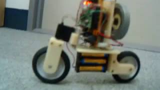 Self Balancing Bicycle Robot