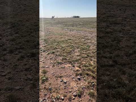 خلوني على كيفي