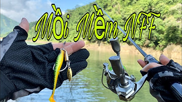 Hướng Dẫn Cách Móc Mồi Mềm NFF Cơ Bản, Câu Lure Sông Tự Nhiên _ Hạnh Fishing